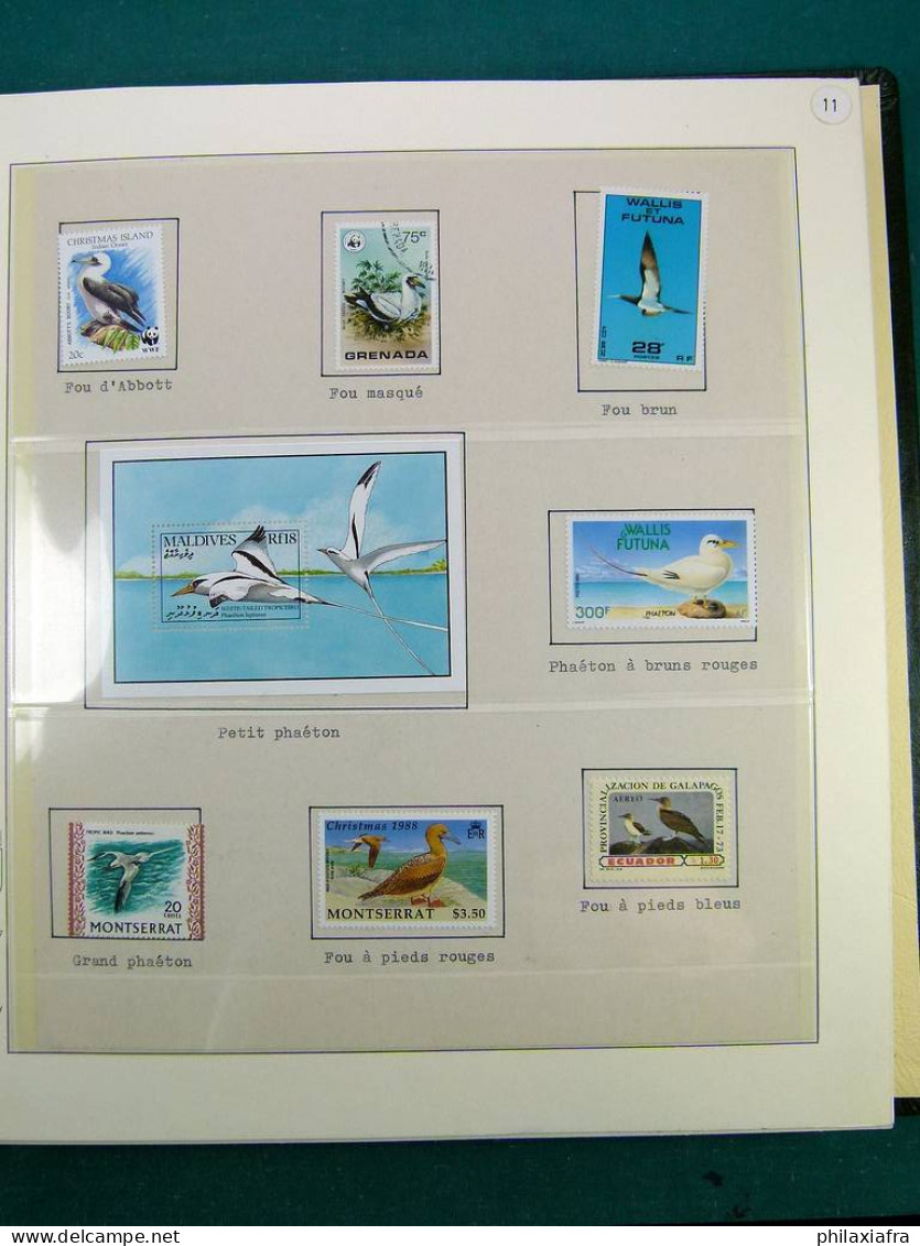 Collection Thématique Oiseaux, Sur Album, Timbres, Neufs** Oblitérés Pélicans - Colecciones & Series