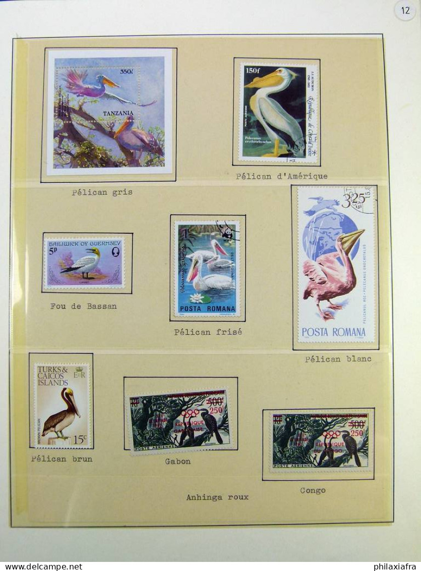 Collection Thématique Oiseaux, Sur Album, Timbres, Neufs** Oblitérés Pélicans - Colecciones & Series