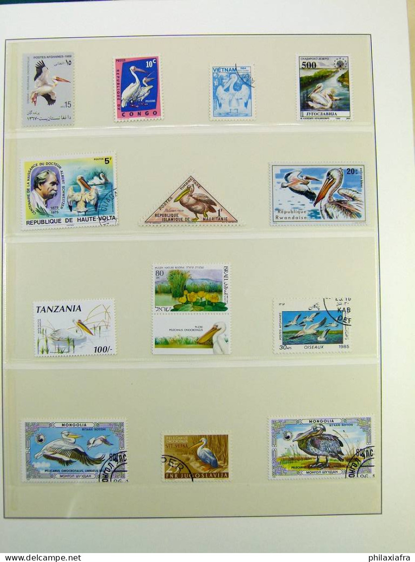 Collection thématique Oiseaux, sur album, timbres, neufs** oblitérés Pélicans