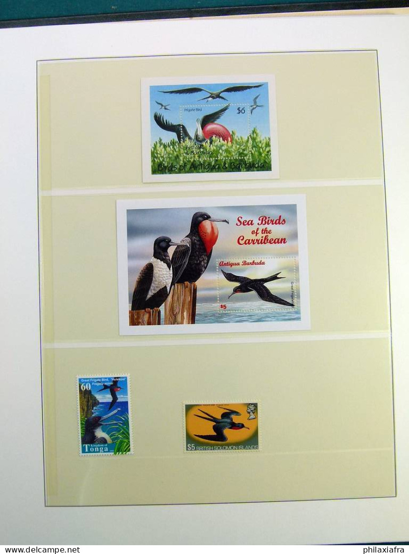 Collection thématique Oiseaux, sur album, timbres, neufs** oblitérés Pélicans