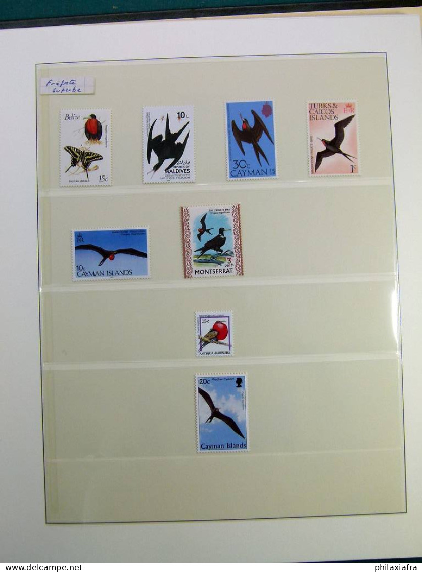 Collection thématique Oiseaux, sur album, timbres, neufs** oblitérés Pélicans