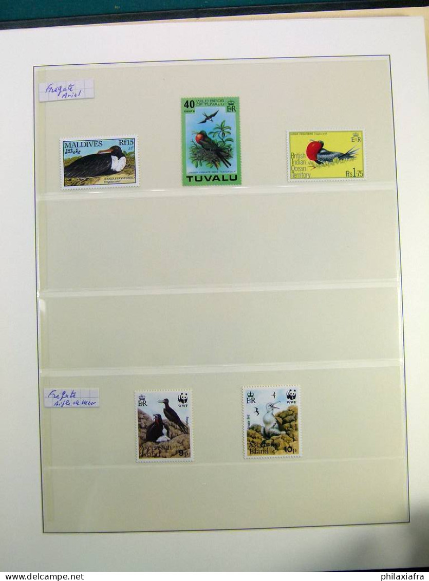 Collection thématique Oiseaux, sur album, timbres, neufs** oblitérés Pélicans