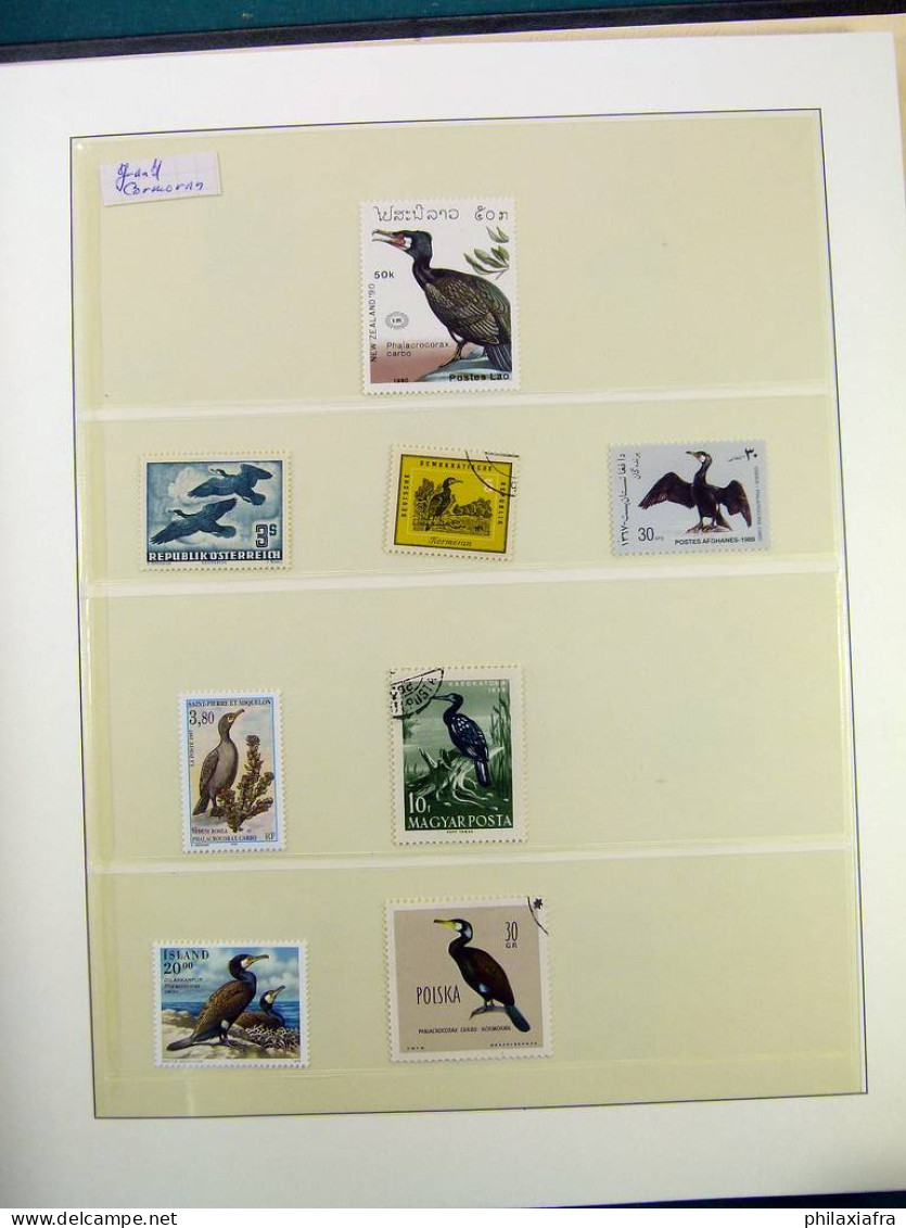 Collection thématique Oiseaux, sur album, timbres, neufs** oblitérés Pélicans