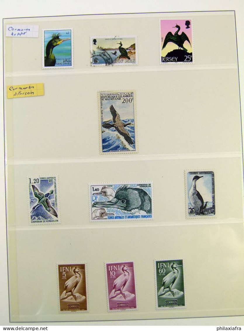 Collection thématique Oiseaux, sur album, timbres, neufs** oblitérés Pélicans