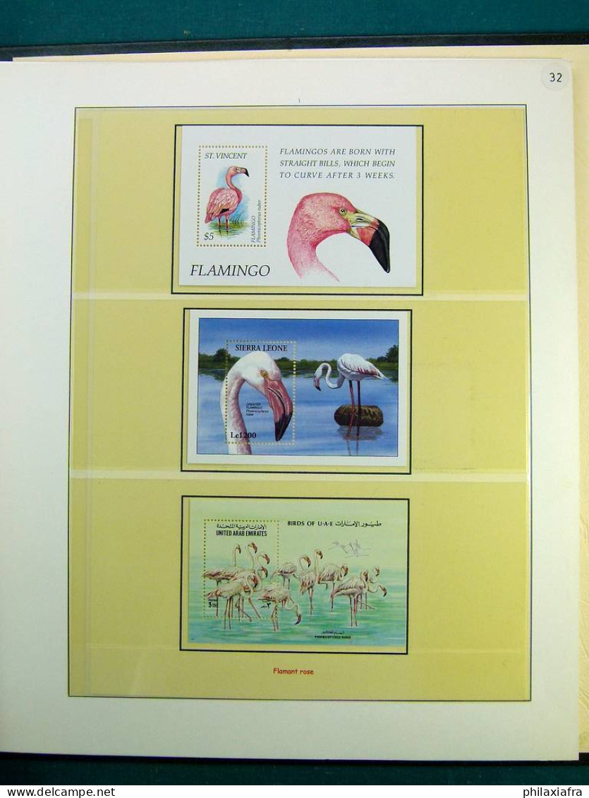 Collection thématique Oiseaux, sur album, timbres, neufs** oblitérés Pélicans