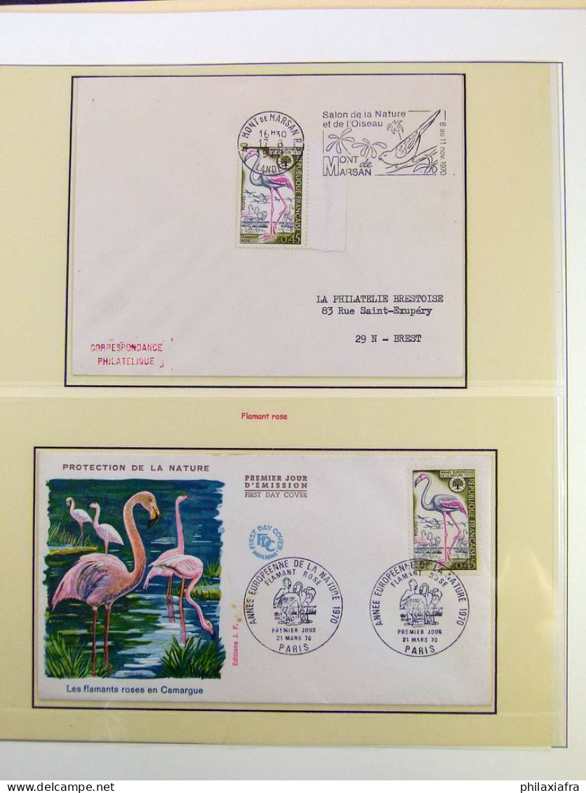 Collection thématique Oiseaux, sur album, timbres, neufs** oblitérés Pélicans