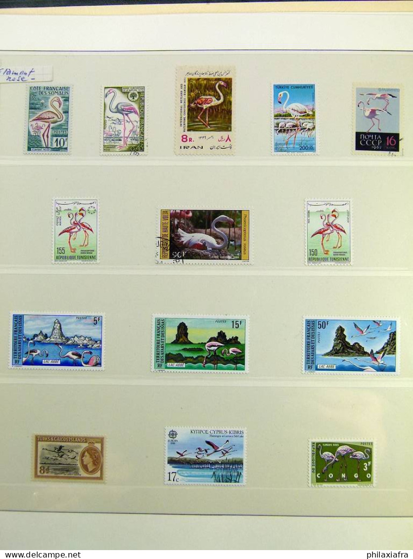 Collection thématique Oiseaux, sur album, timbres, neufs** oblitérés Pélicans