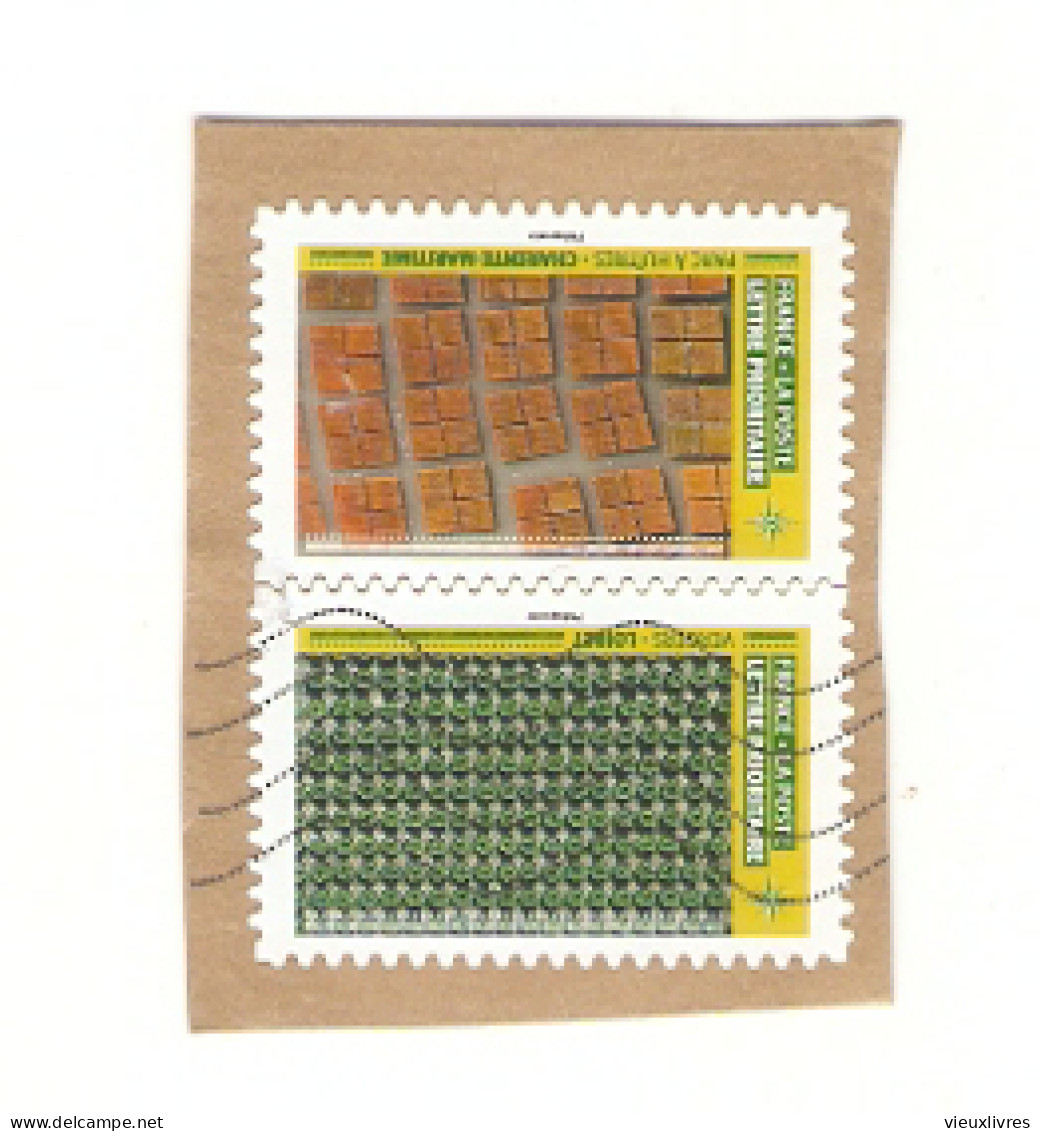 Lot de 24 timbres autocollants sur fragments Phare Tatous Botticelli (Vénus) Cerises Zimbabwe