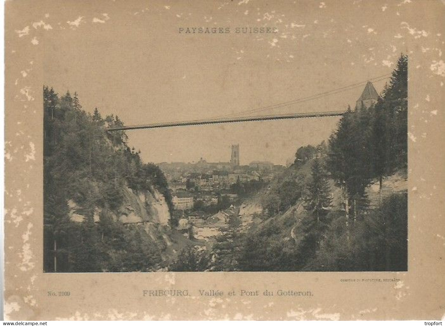 PHOTO FRIBOURG SUISSE Vallée Et Pont Du Gotteron  PAYSAGES SUISSE N° 2109 - Europe