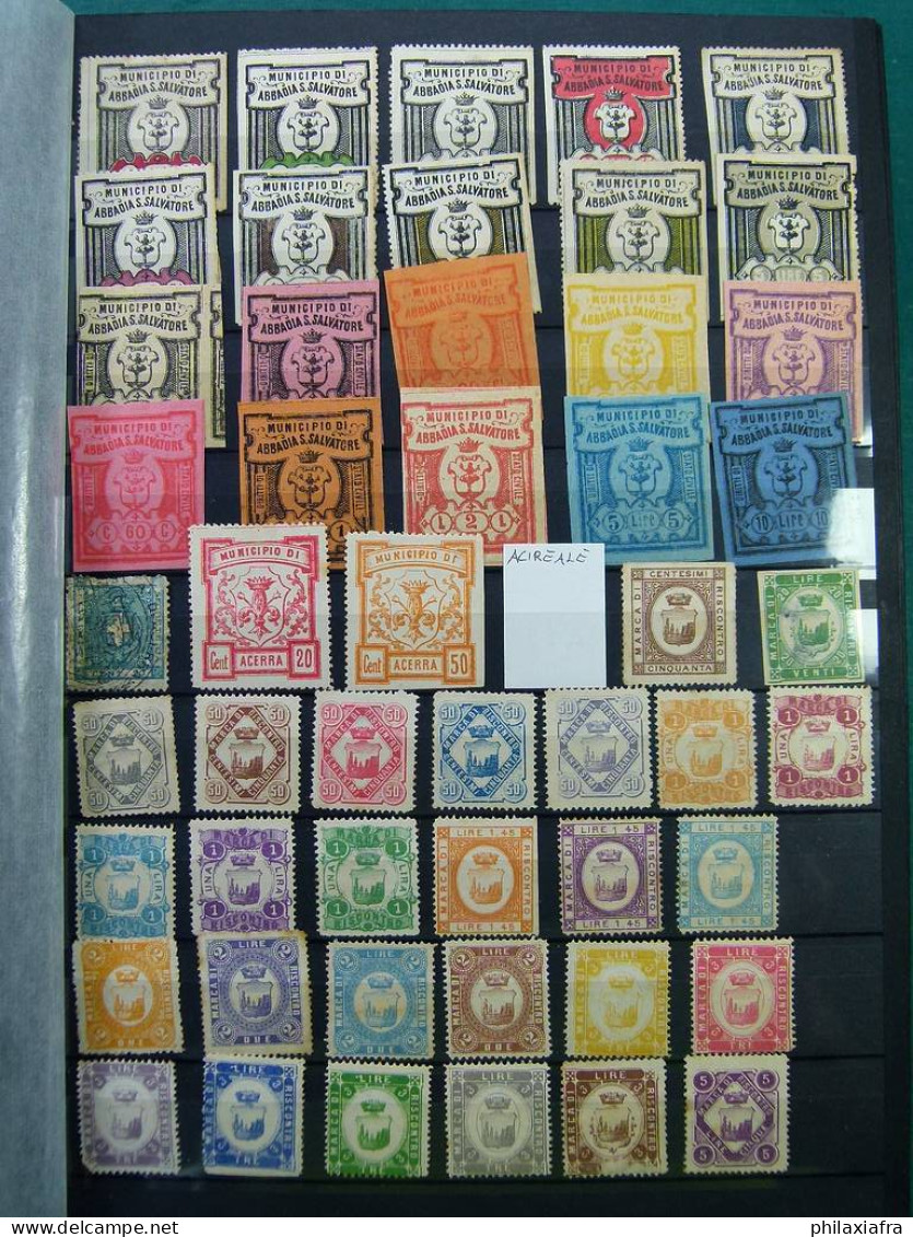 Superbe Collection 2.700 Timbres Municipales Royaume D'Italie * / Oblitéré - Collections (en Albums)