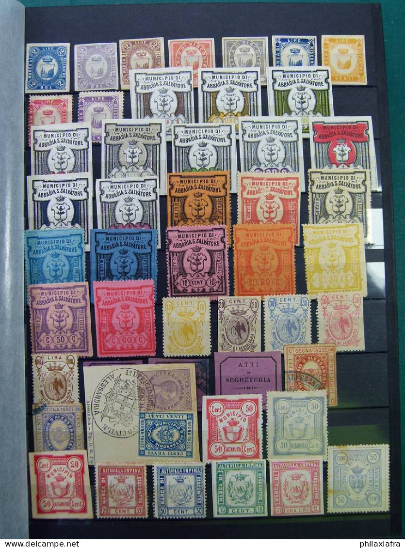 Superbe Collection 2.700 Timbres Municipales Royaume D'Italie * / Oblitéré - Collections (en Albums)