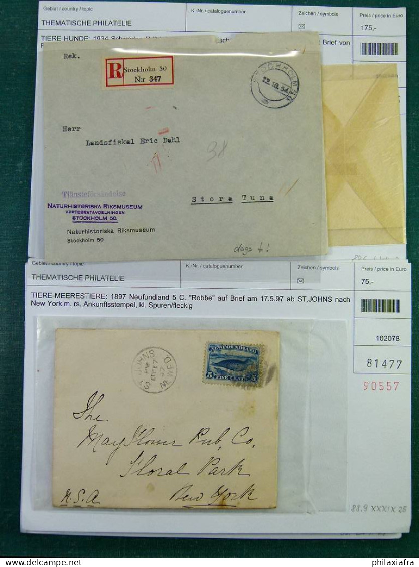 Lot Enveloppes Cartes Postales, Affranchissement De Valeur Surtout Theme Animaux - Collections (with Albums)