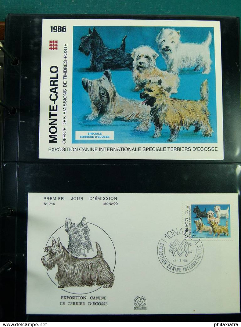 Collection Europe enveloppes cartes postales entire postaux Italie Theme Chien