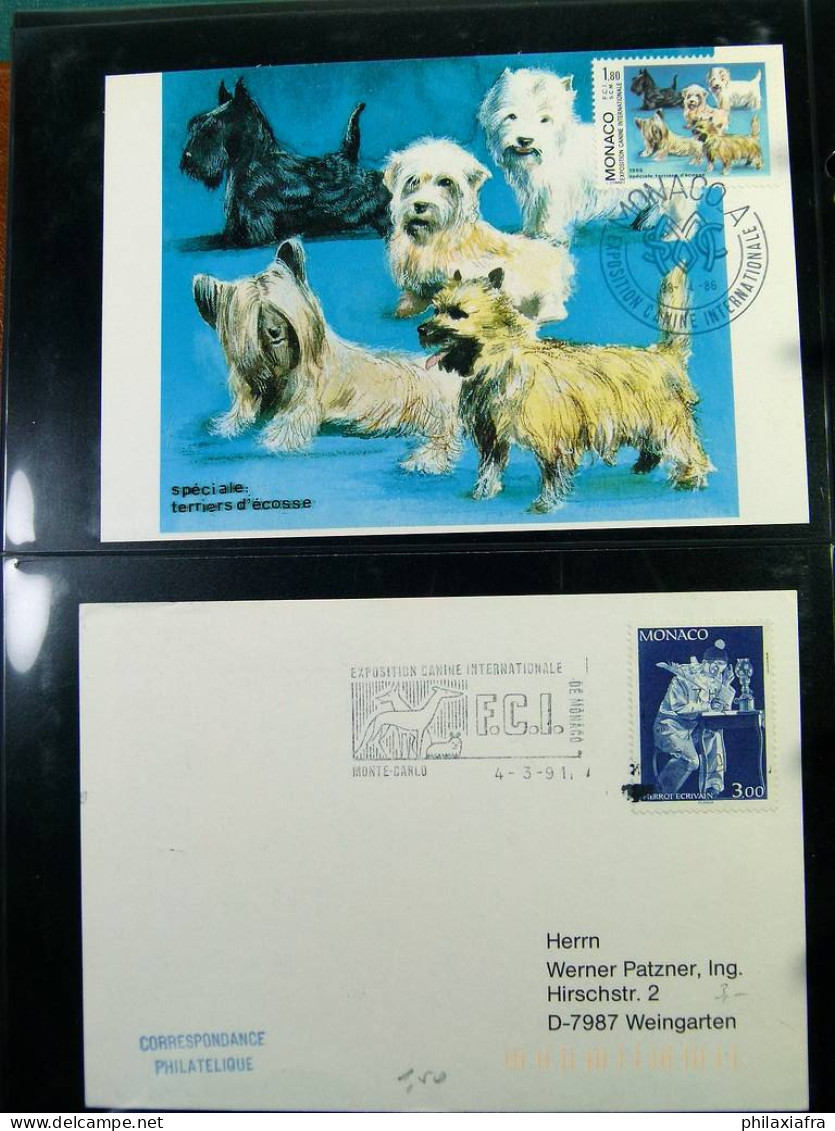 Collection Europe enveloppes cartes postales entire postaux Italie Theme Chien