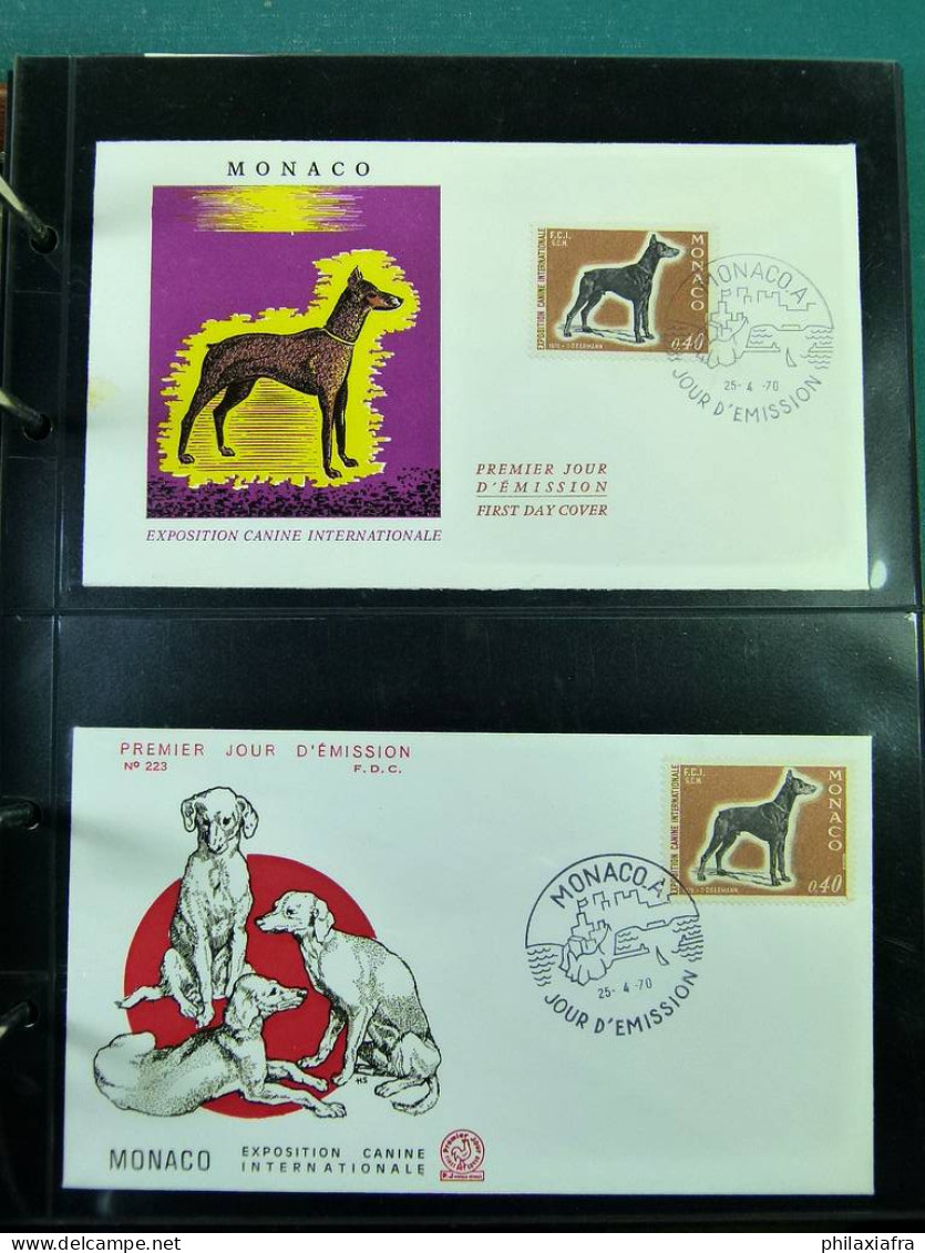 Collection Europe enveloppes cartes postales entire postaux Italie Theme Chien