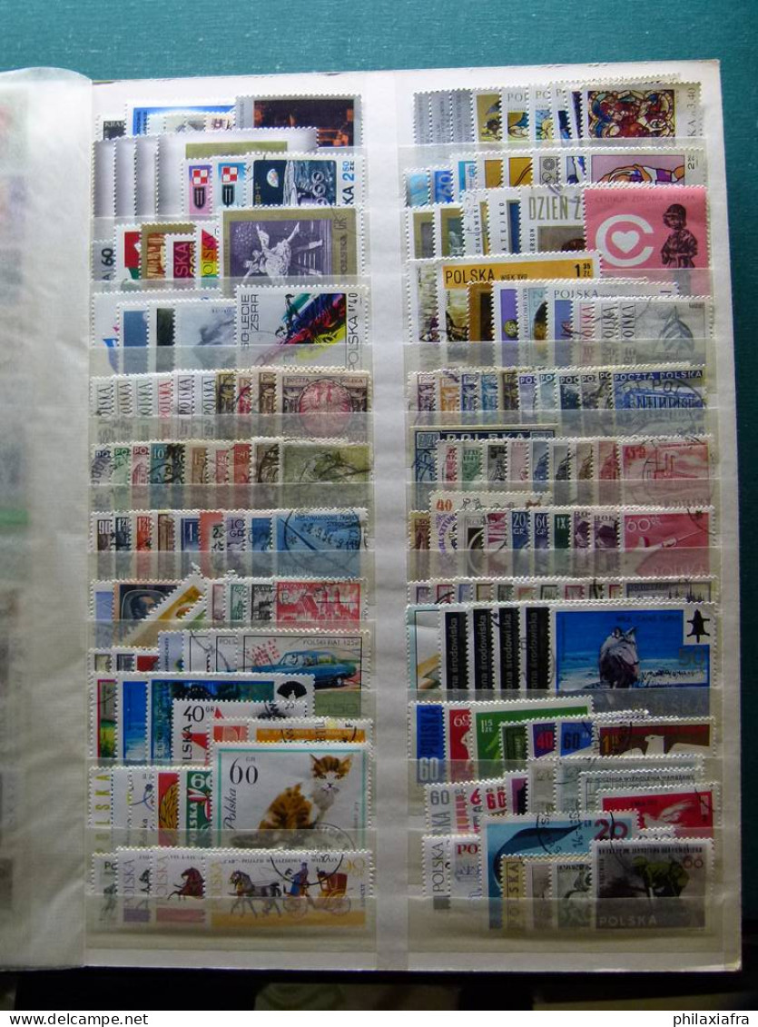 Collection Europe, grand classificateur, timbres oblitéré. Regarde les photos.