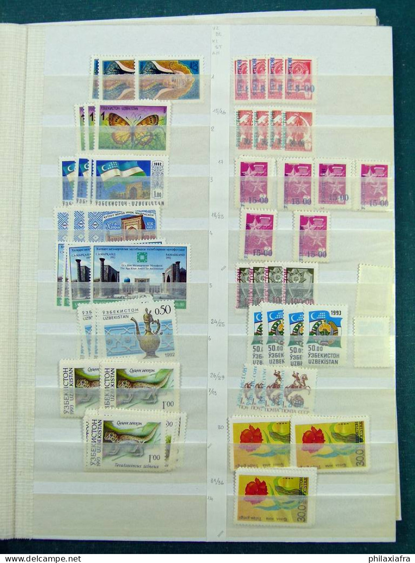 Collection Ouzbékistan, Sur Pages De Classeur, De 1992 à 2005, Avec Timbres Ne - Uzbekistan