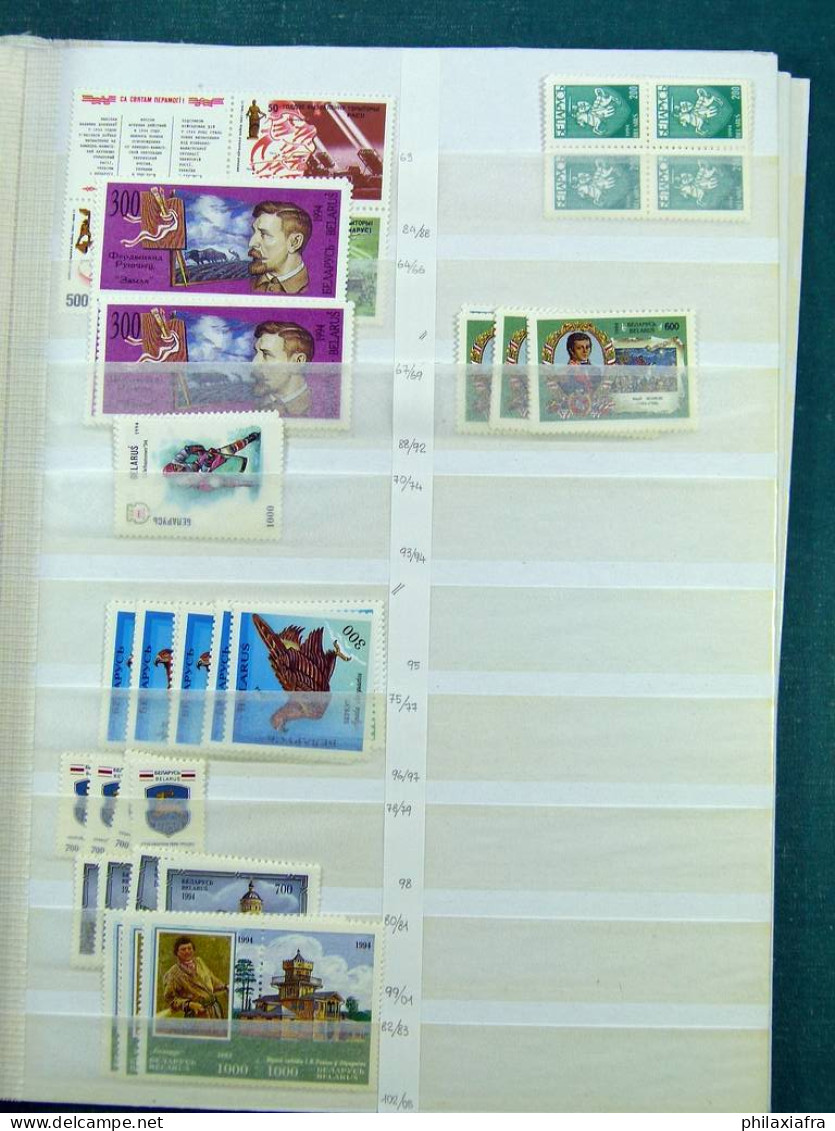 Collection Biélorussie, Sur Pages De Classeur, De 1992 à 2017, Avec Timbres Ne - Bielorussia