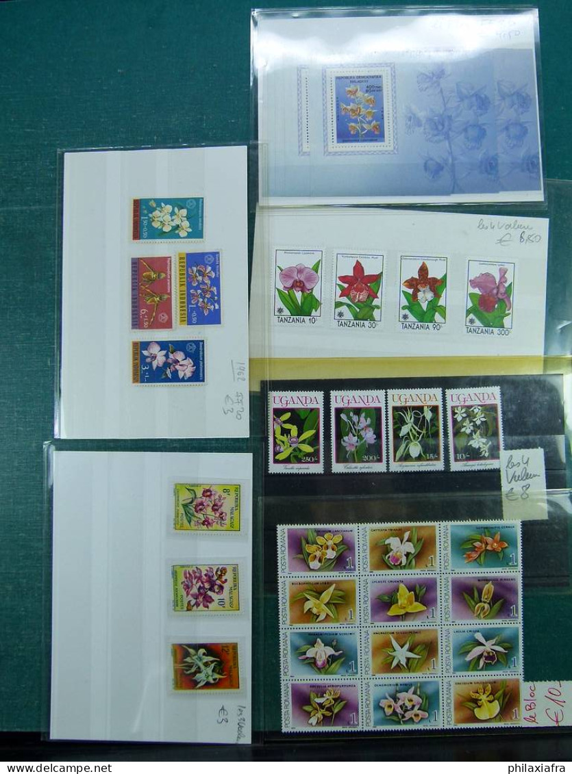 Collection sur le thème des fleurs, avec timbres neufs et oblitérés, envelopp