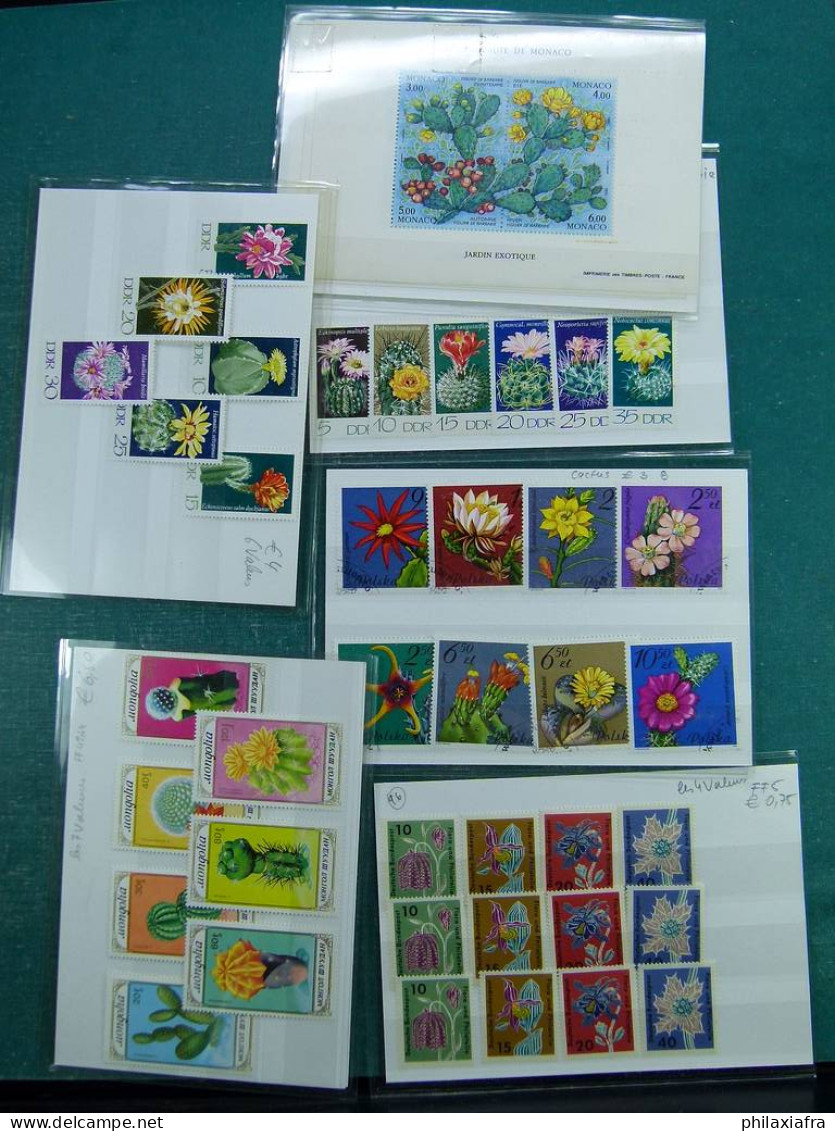 Collection sur le thème des fleurs, avec timbres neufs et oblitérés, envelopp