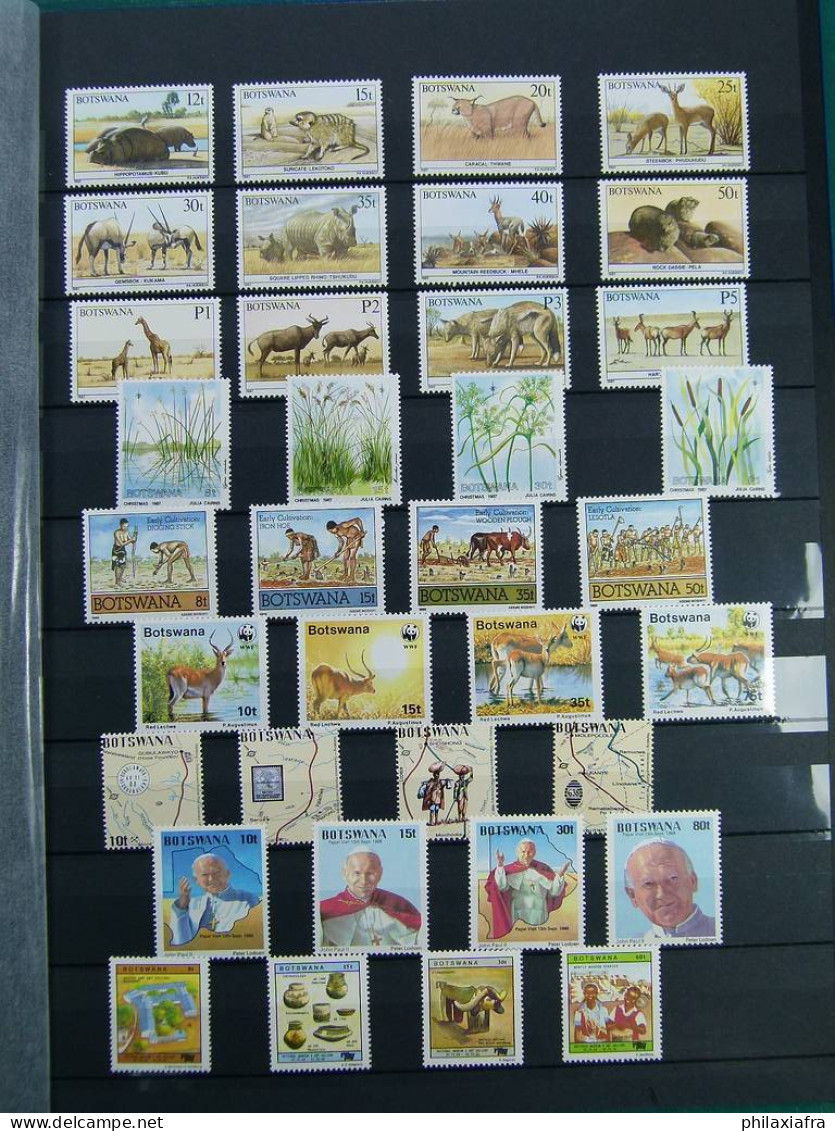 Collection Botswana, Sur Classeur, Avec Timbres Neufs ** Sans Charnière, Jusqu' - Botswana (1966-...)