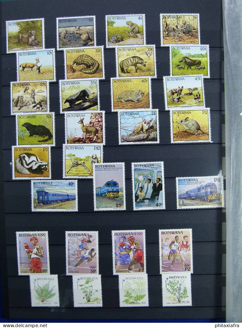 Collection Botswana, sur classeur, avec timbres neufs ** sans charnière, jusqu'