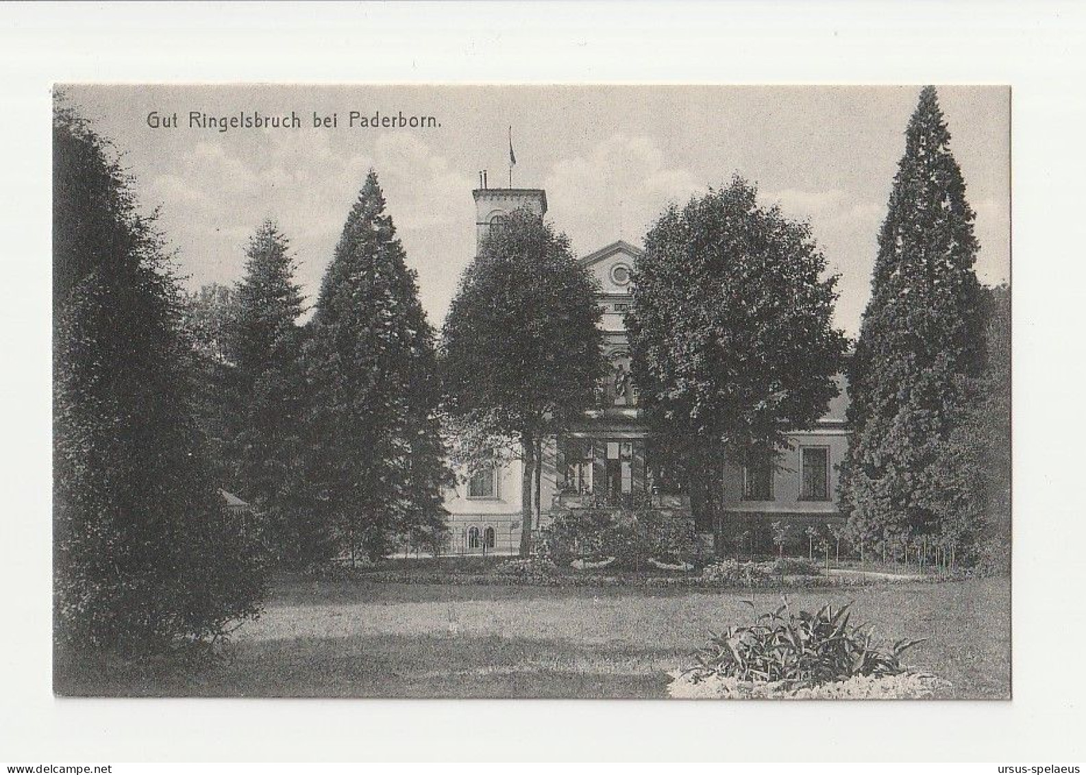 GUT RINGELSBRUCH BEI PADERBORN   AK Ca. 1910 - Paderborn
