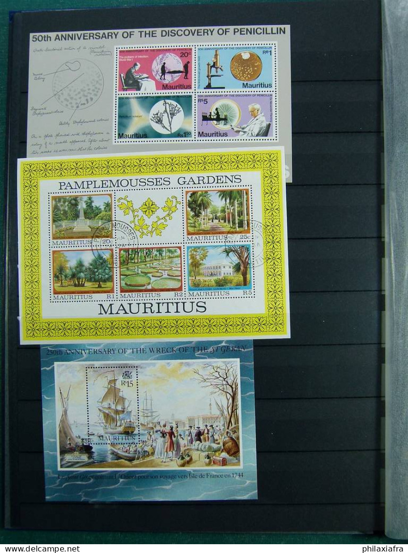 Collection Maurice, sur pages de classeur, d'époque classique, avec timbres neu