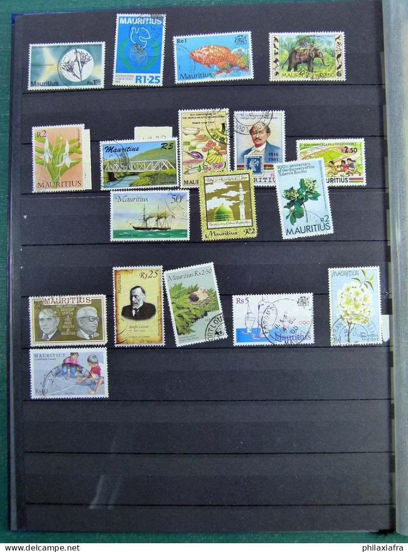 Collection Maurice, sur pages de classeur, d'époque classique, avec timbres neu