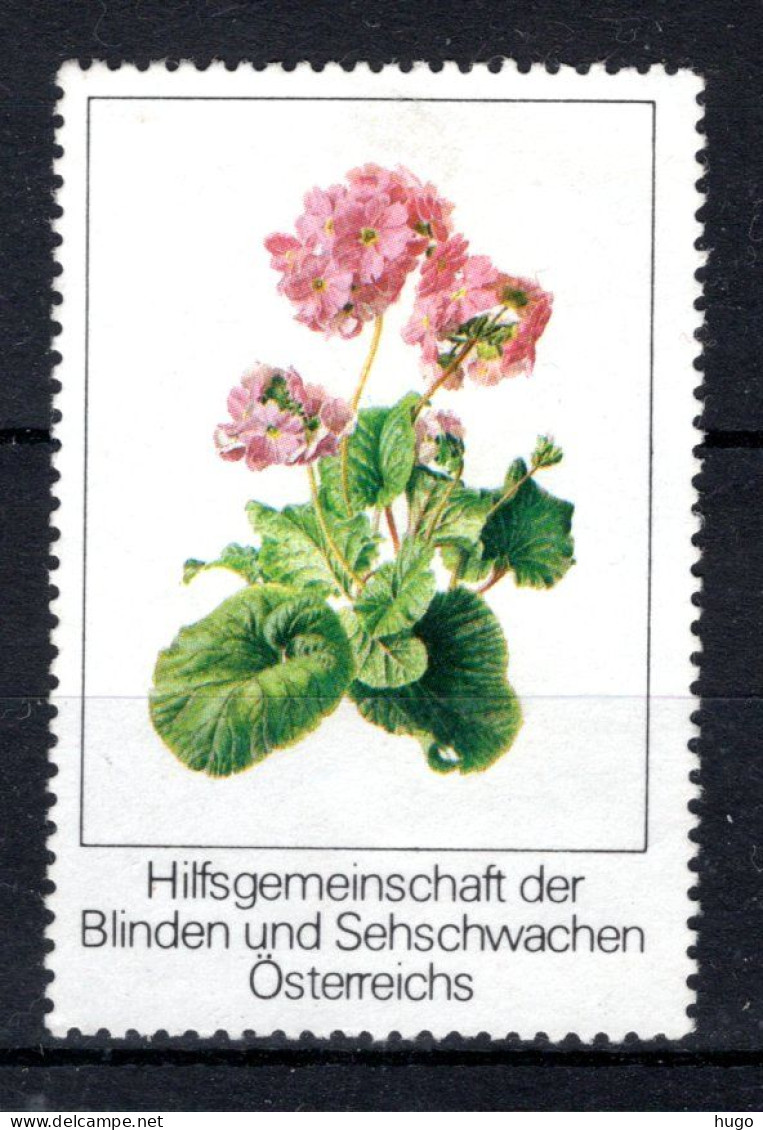 OOSTENRIJK Hilfsgemeinschaft Der Blinden Und Sehschwachen 1950 - Unused Stamps