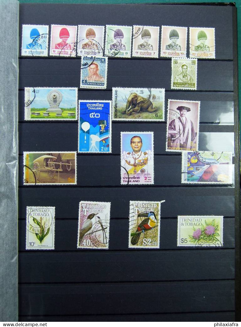 Collection mondiale, sur classificateur, avec timbres neufs et oblitérés.