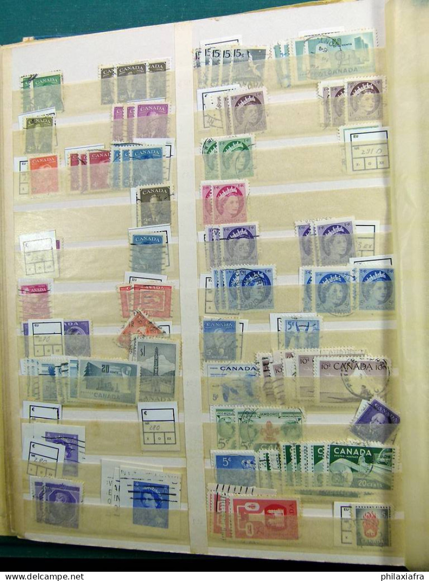 Collection Amérique, sur grand classificateur, avec timbres oblitérés.