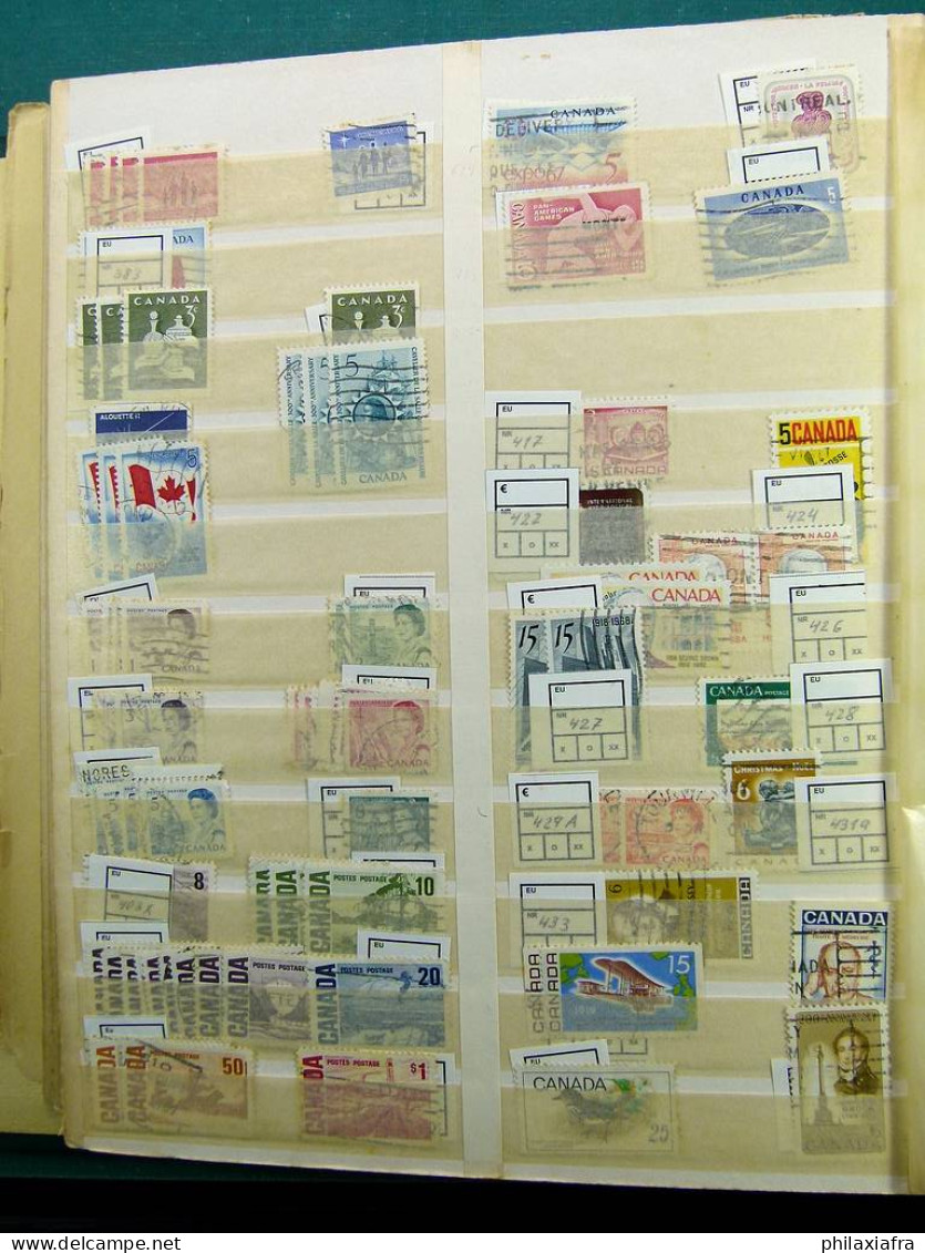 Collection Amérique, sur grand classificateur, avec timbres oblitérés.