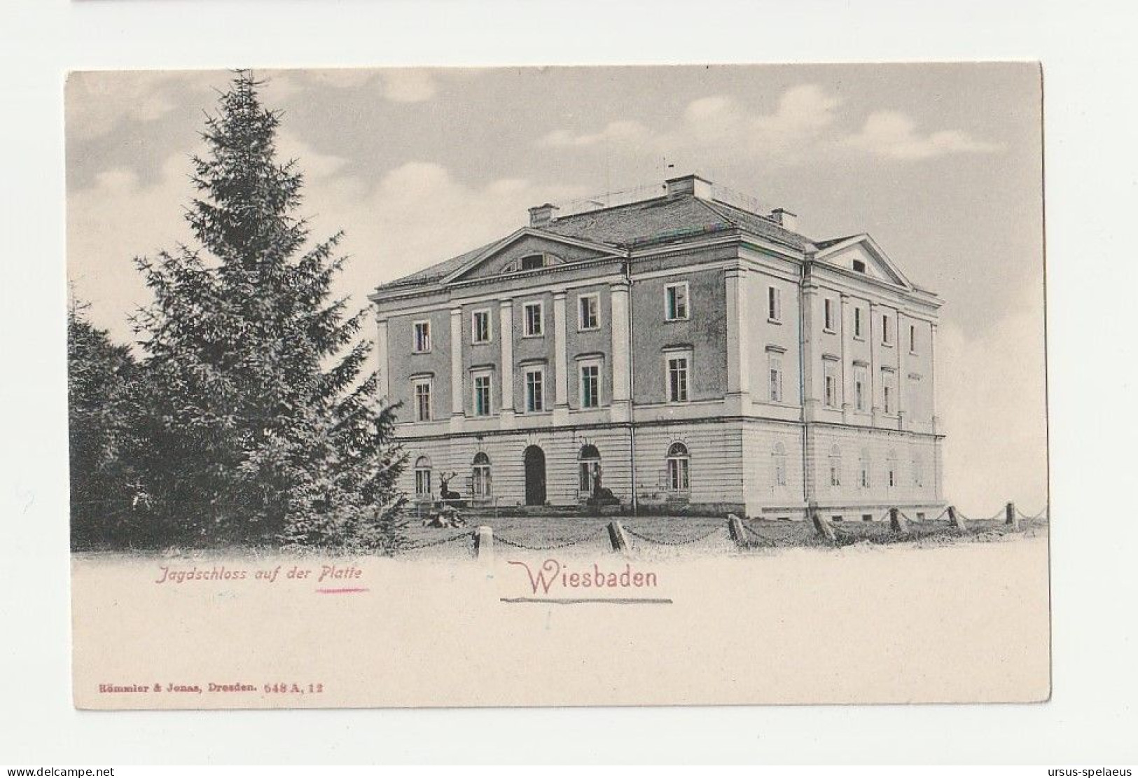 WIESBADEN  JAGDSCHLOSS AUF DER PLATTE   AK Ca. 1905 - Wiesbaden