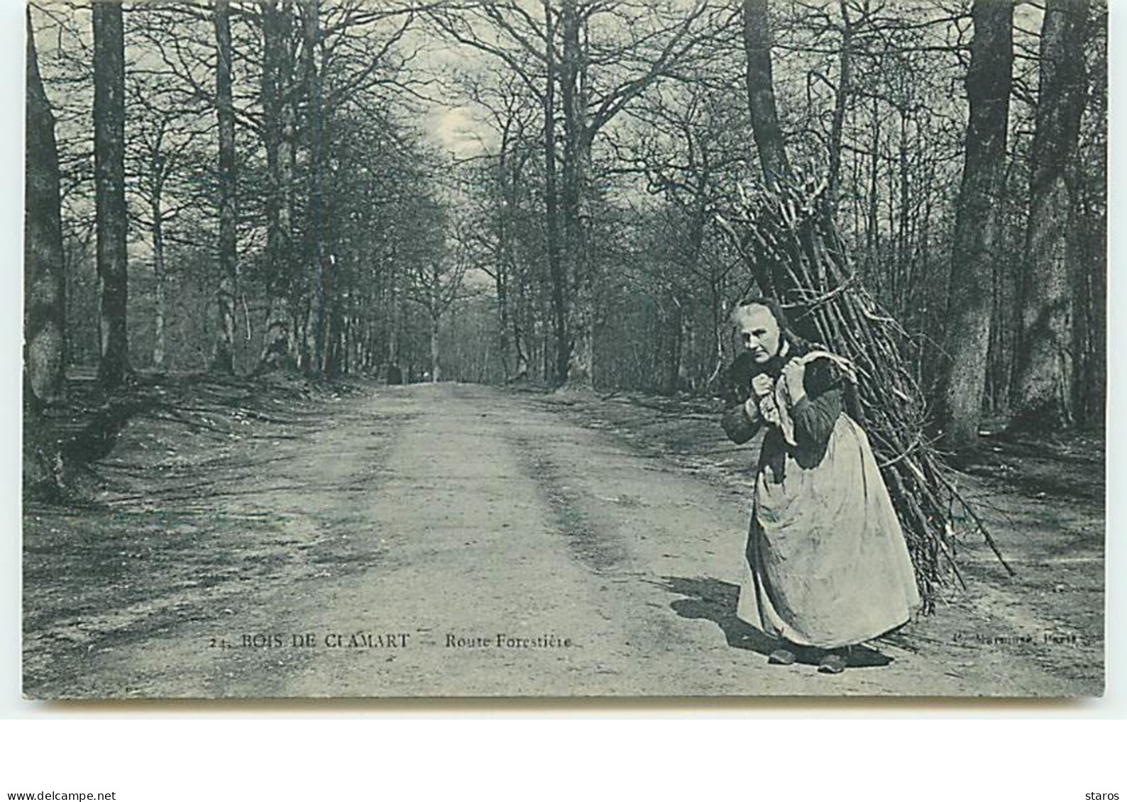 Bois De CLAMART - Route Forestière - Transport De Bois - Clamart