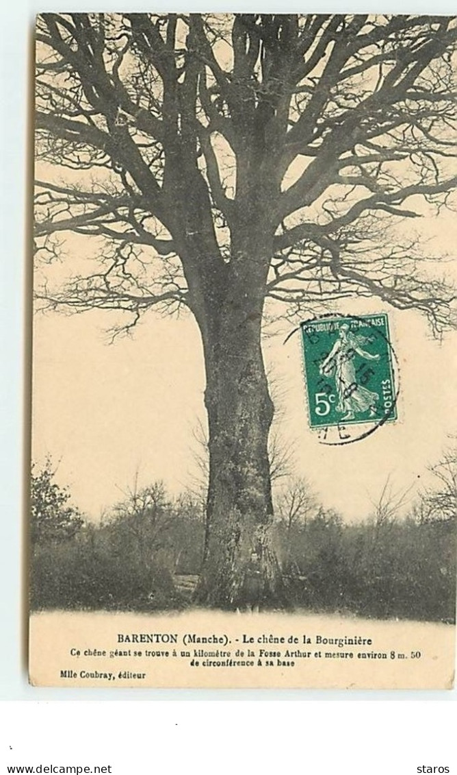 BARENTON - Le Chêne De La Bourginière - Barenton