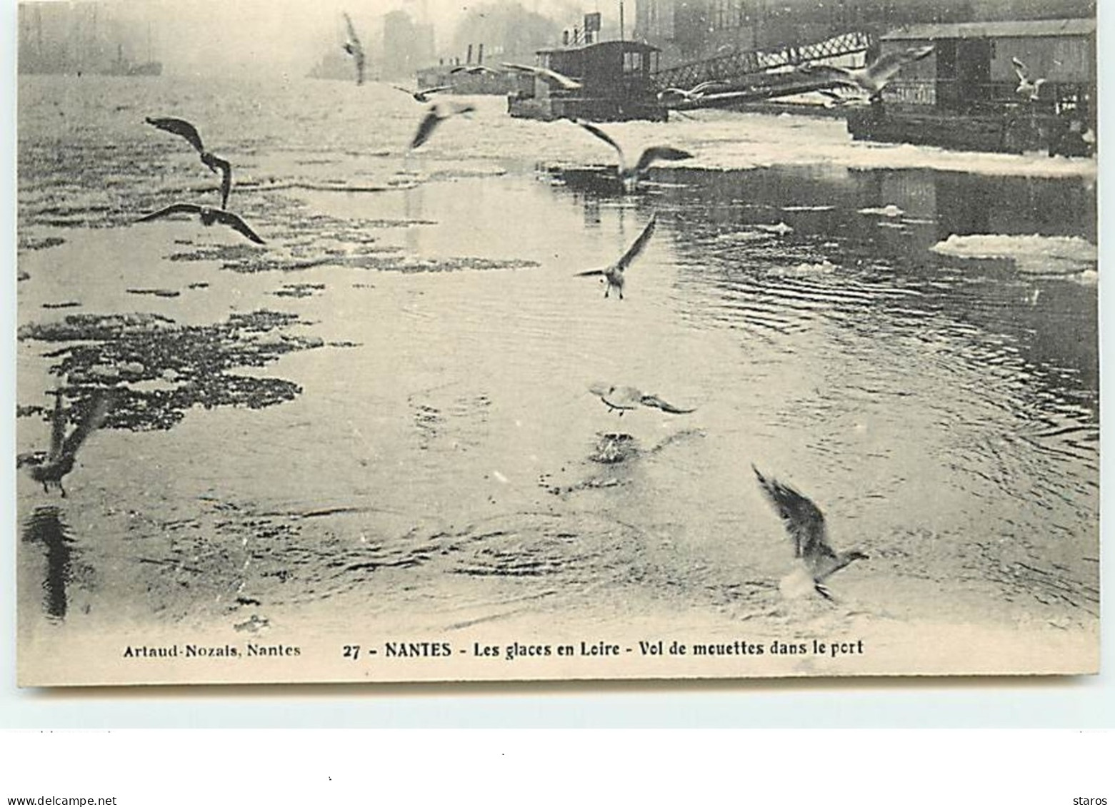 27 - NANTES - Les Glaces En Loire - Vol De Mouettes Dans Le Port - Nantes