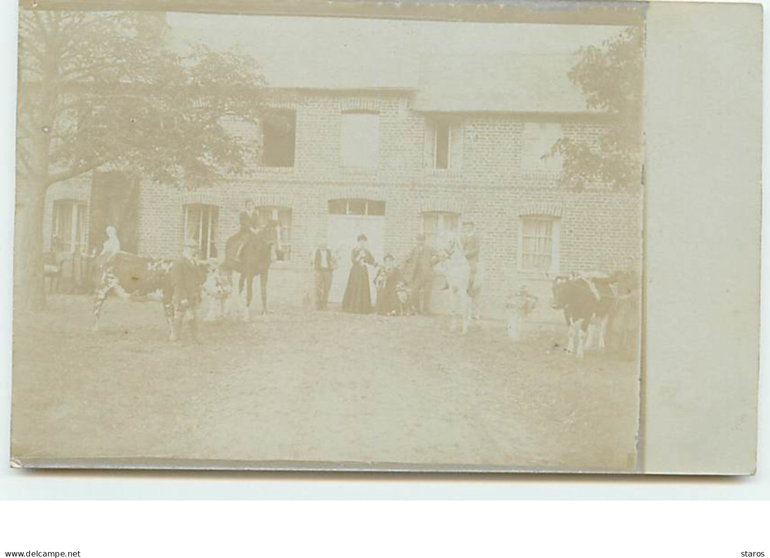 Carte-Photo - Intérieur D'une Ferme - Bauernhöfe