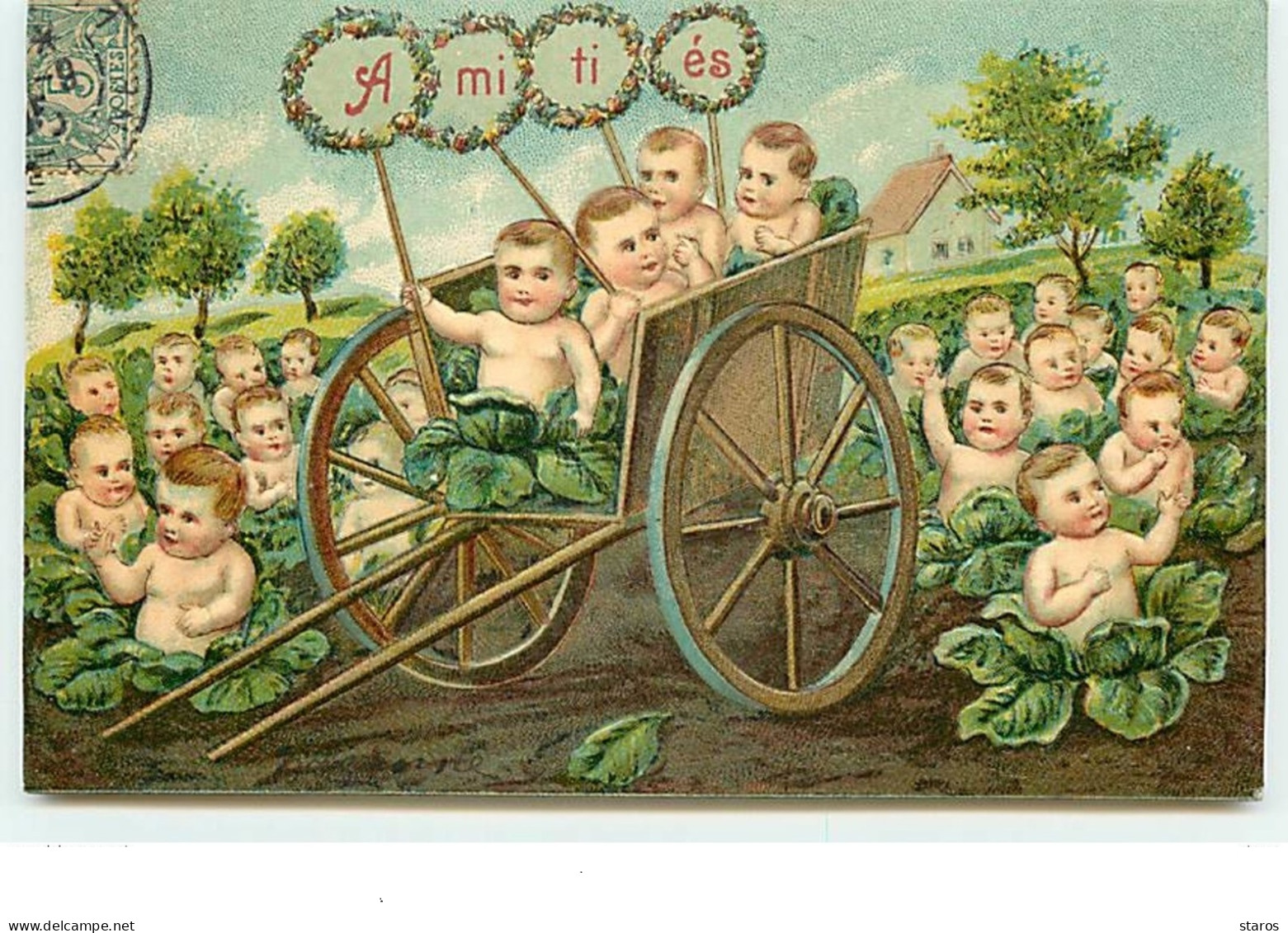 Carte Gaufrée - Amitiés - Bébés Dans Des Choux - Babies