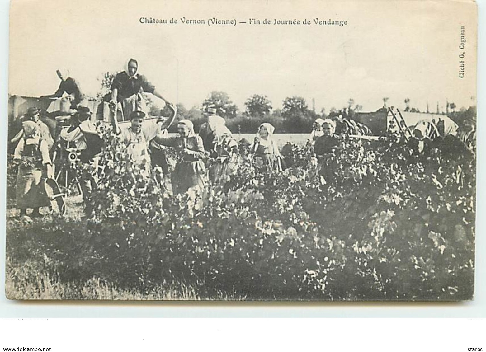 Château De VERNON - Fin De Journée De Vendanges - Other & Unclassified