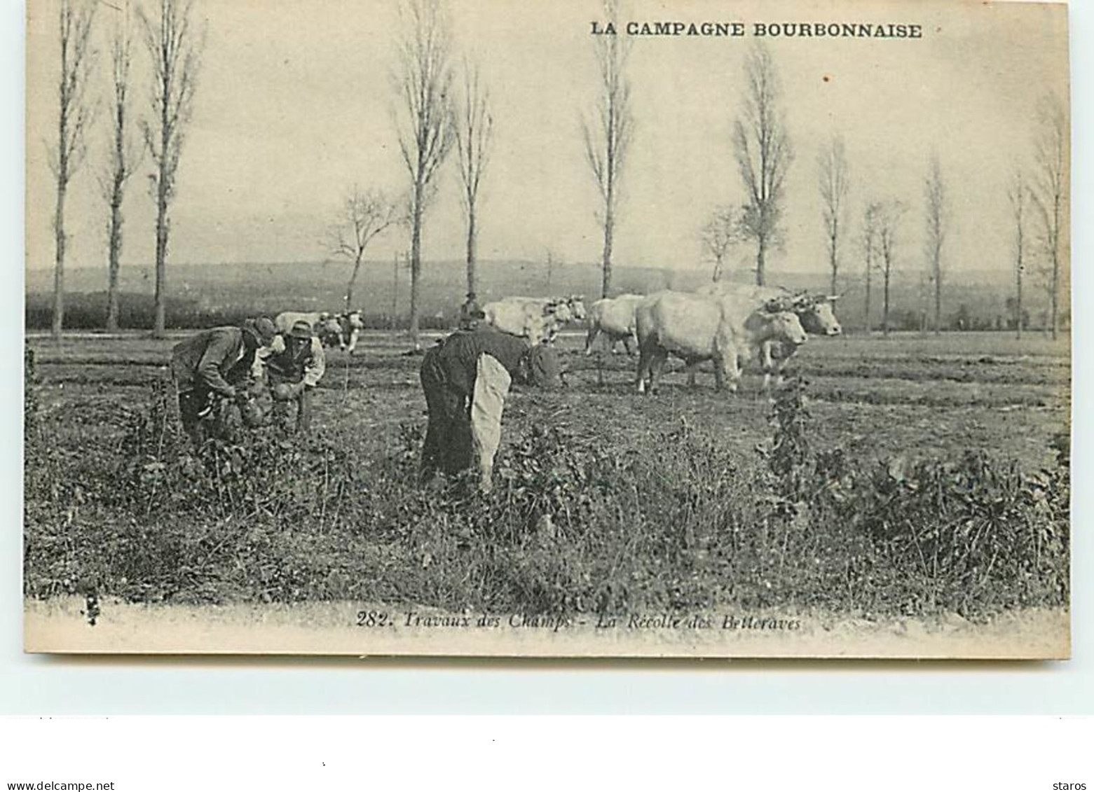 La Campagne Bourbonnaise - Travaux Des Champs - La Récolte Des Betteraves - Sonstige & Ohne Zuordnung