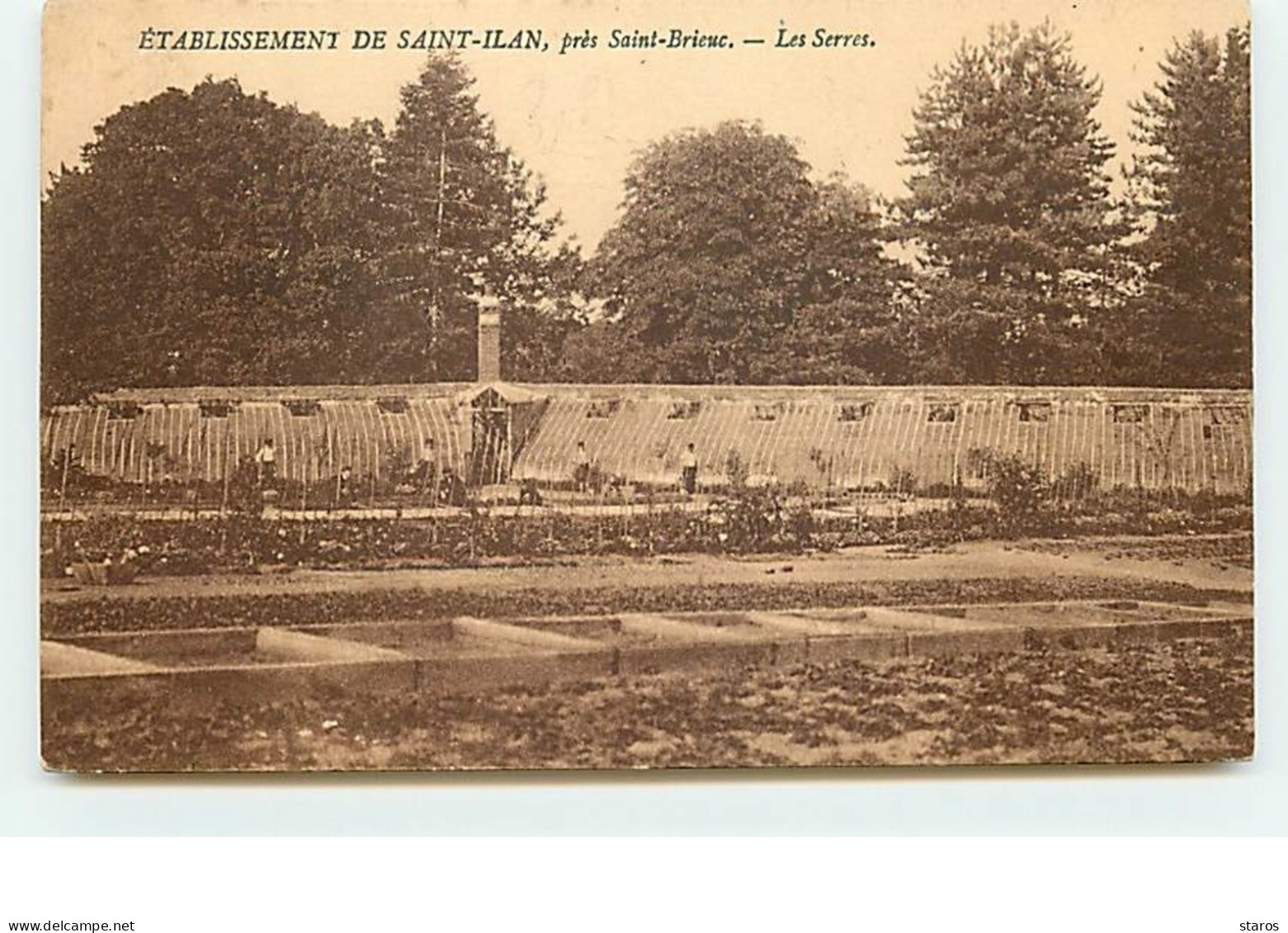 LANGUEUX - Etablissement De Saint-Ilan, Près Saint-Brieuc - Les Serres - Other & Unclassified