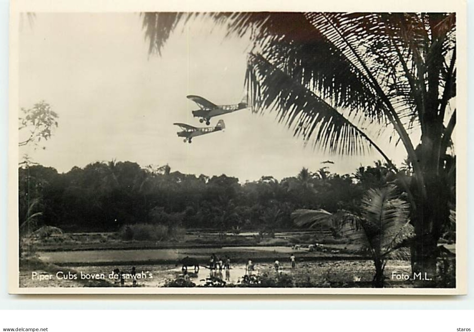 Indonésie - Piper Cubs Boven De Sawah's - Militaire Luchtvaart - Other & Unclassified