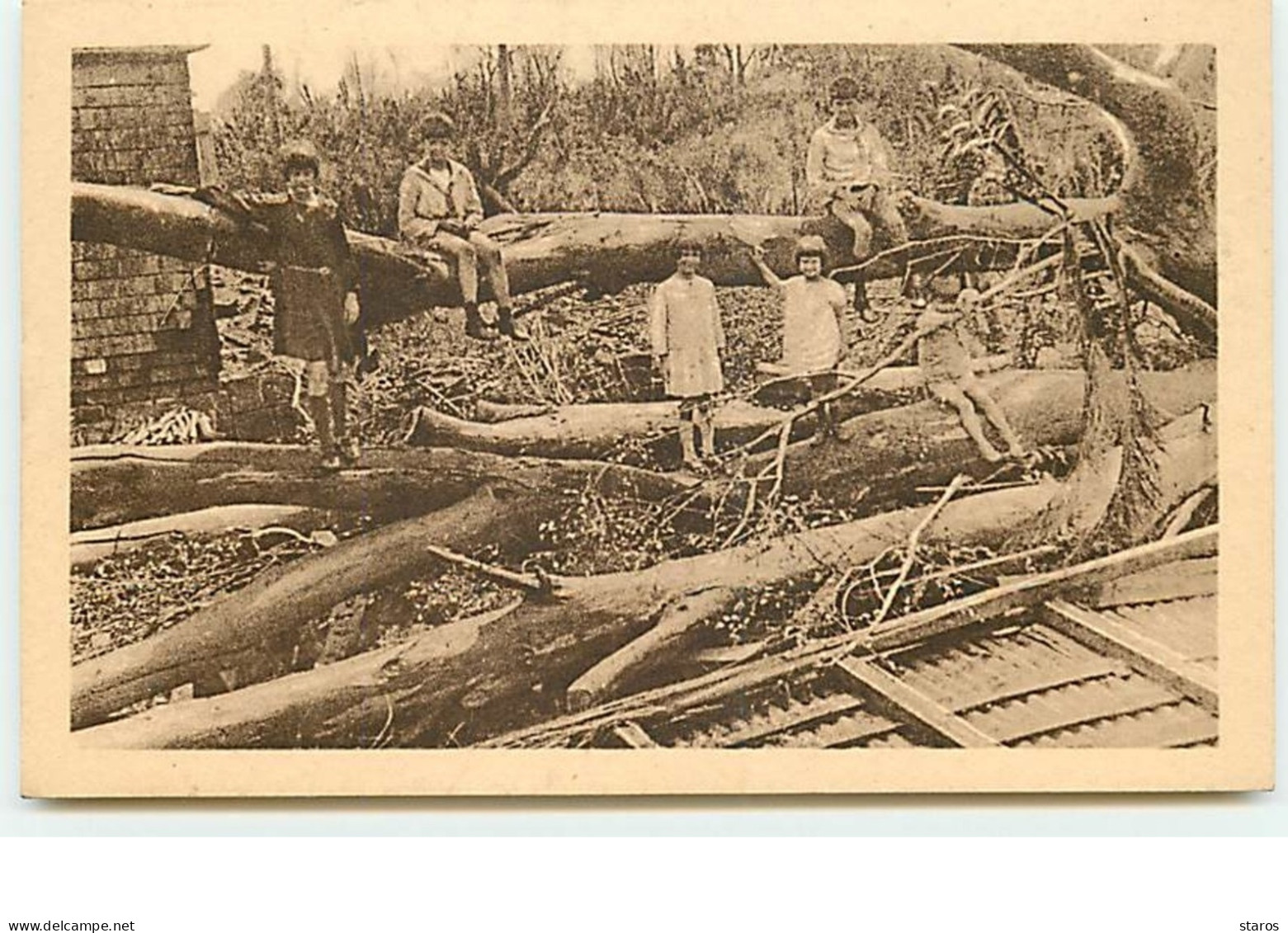 ILE MAURICE - Après Le Cyclone De Mars 1931 - Maurice