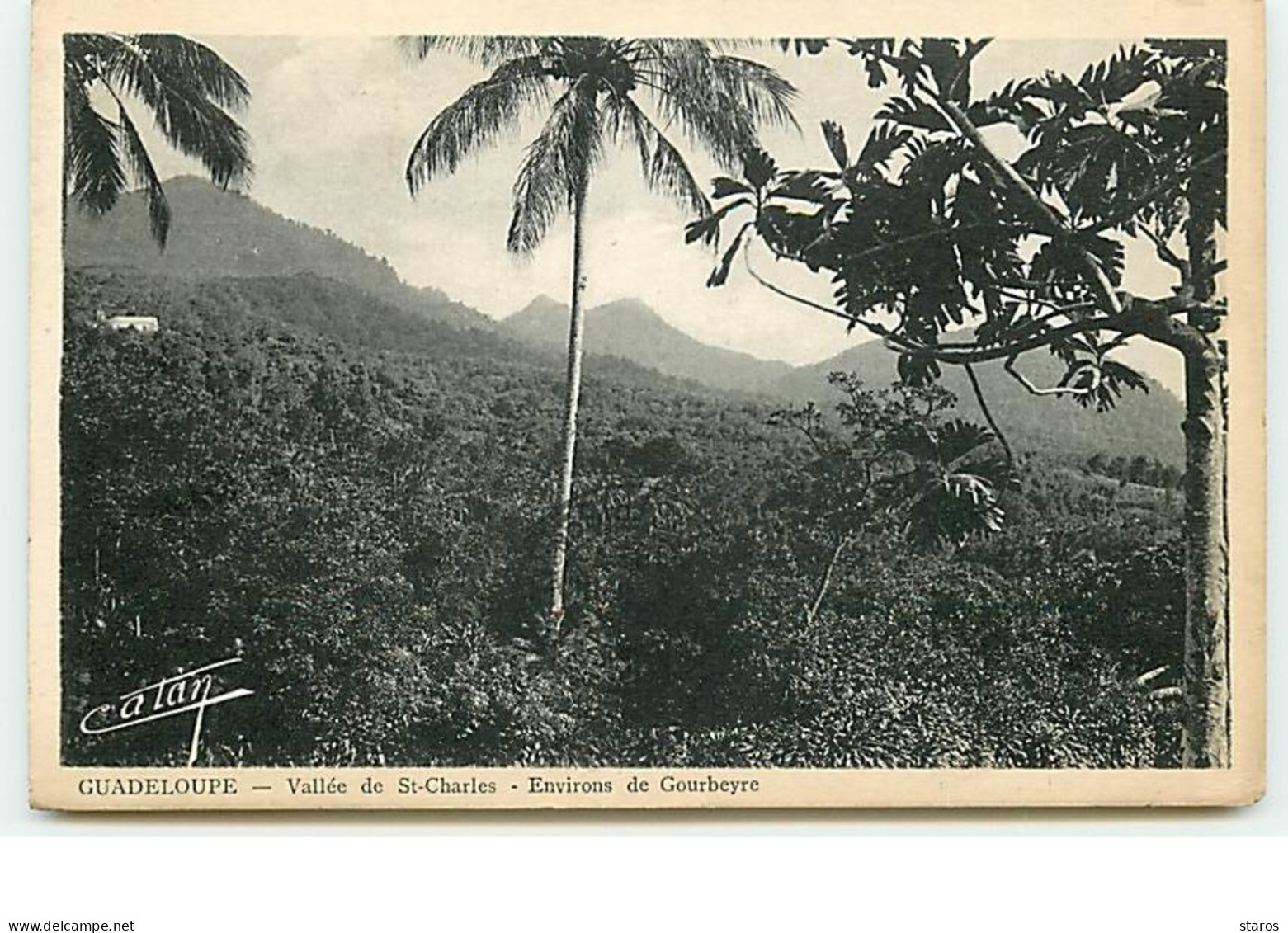 Guadeloupe - Vallée De SAINT-CHARLES - Environs  De Gourbeyre - Autres & Non Classés