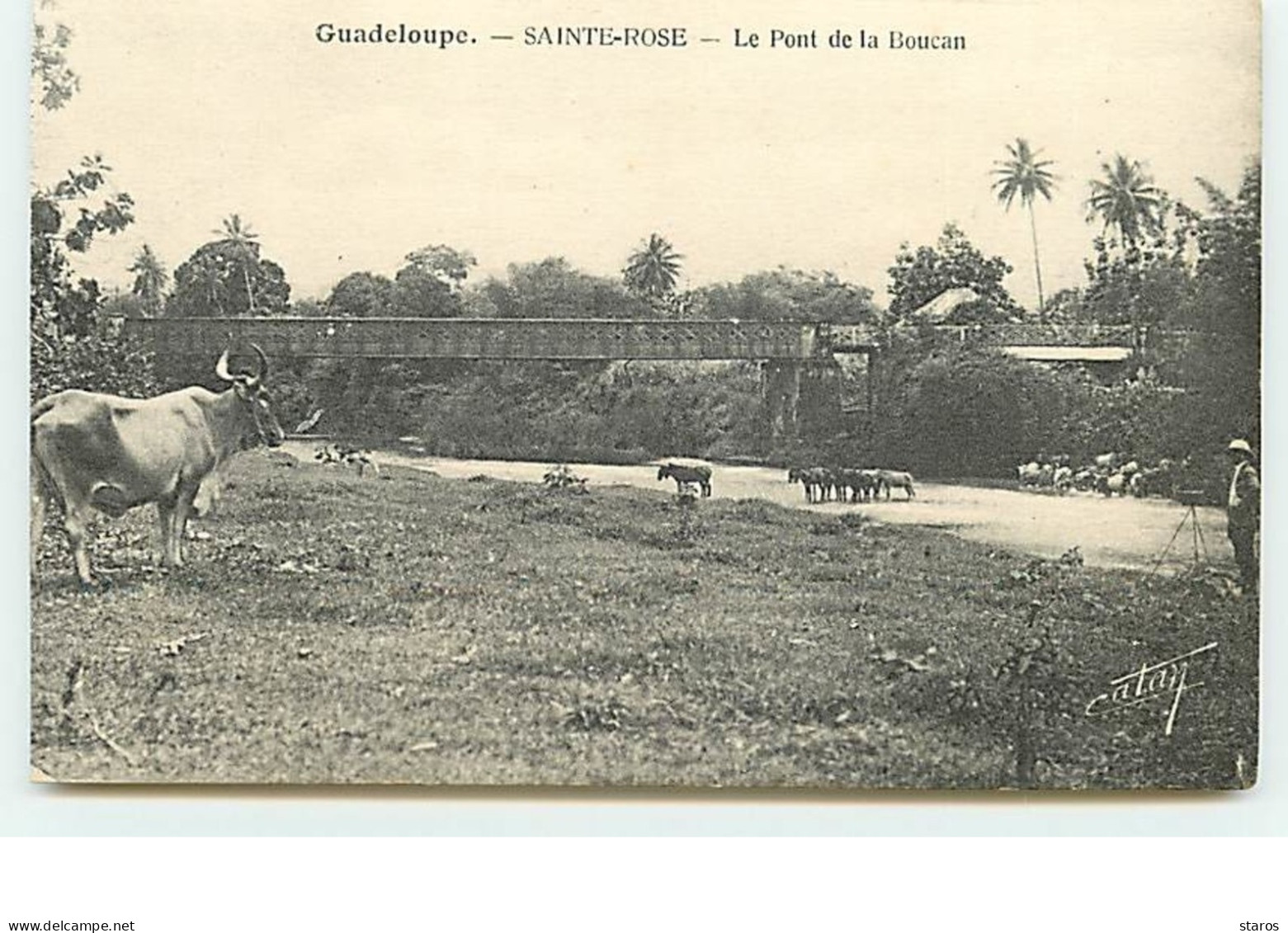 Guadeloupe - SAINT-ROSE - Le Pont De La Boucan - Autres & Non Classés