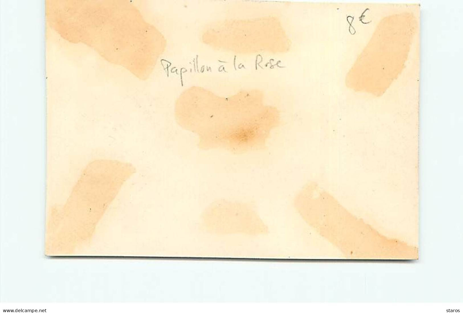 Chromos - Papillon à La Rose - Format 8*11,6 Cm - Autres & Non Classés