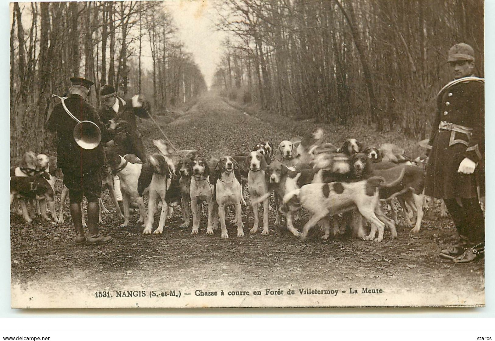 NANGIS - Chasse à Courre En Forêt De Villefermoy - La Meute - Hunting