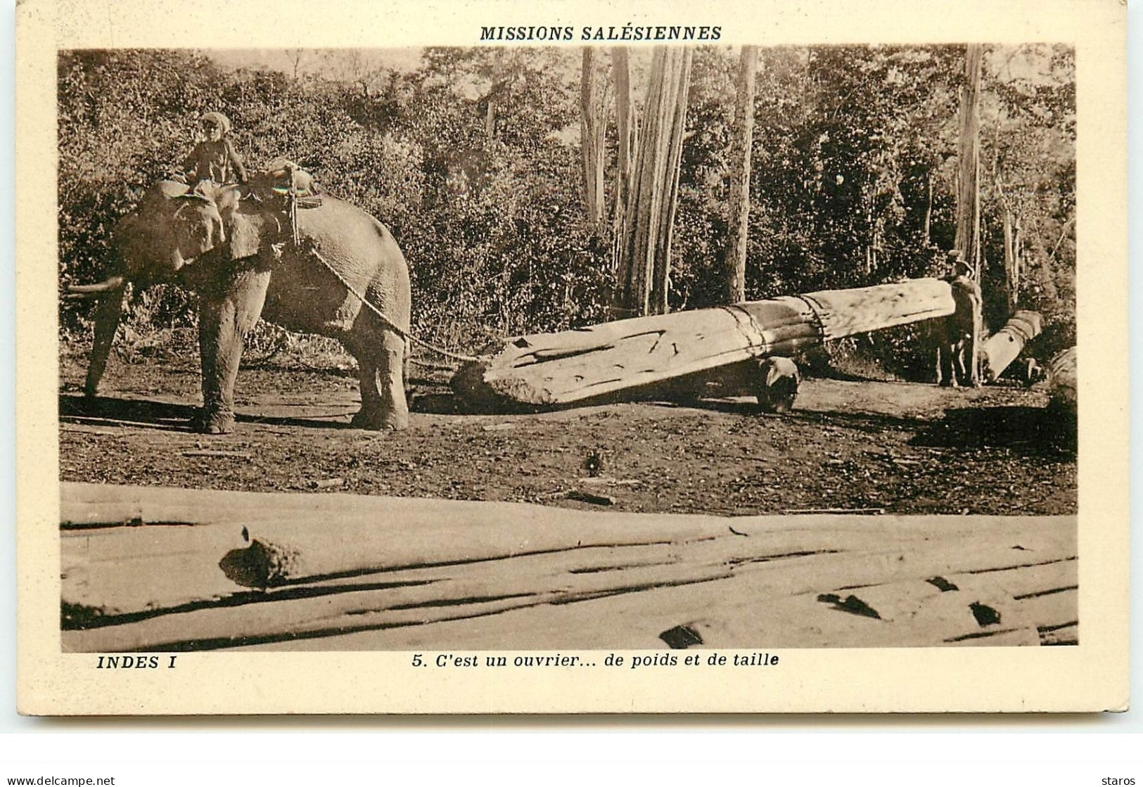 Missions Salésiennes - Indes I - C'est Un Ouvrier ... De Poids Et De Taille - Eléphant - Bois - Inde