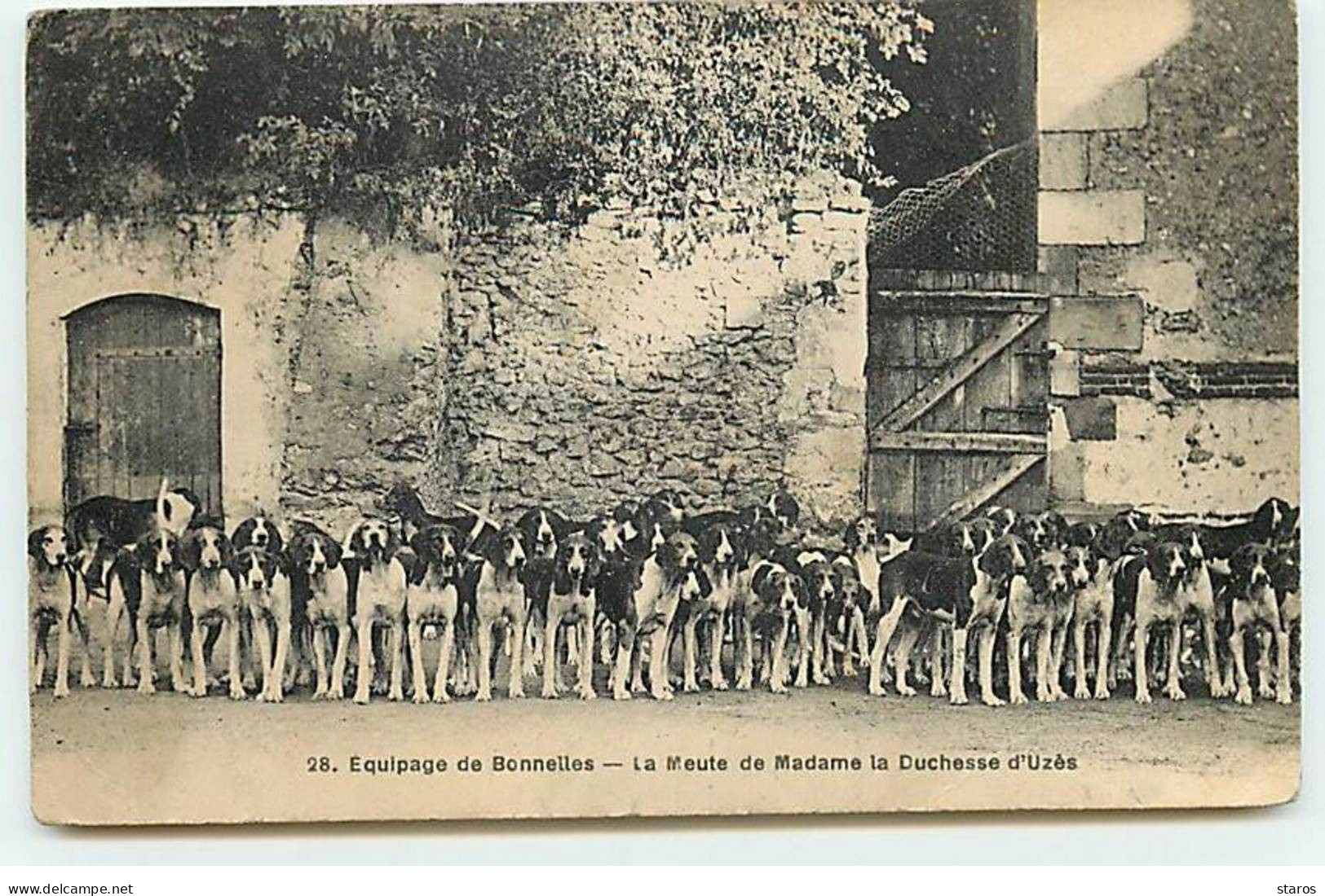 Chasse - Equipage De BONNELLES - La Meute De Madame La Duchesse D'Uzès - Chasse